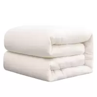 老弹匠 盖絮 棉絮3kg150*200