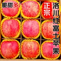 冠町 陕西洛川苹果 18枚大果(净重约8.5斤)新鲜水果生鲜