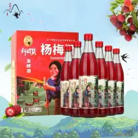 通明山水果酒老味道杨梅酒低度微醺5度 500ml*6瓶整箱装