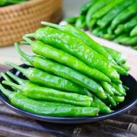 [西沛生鲜]陕西螺丝椒 净重4.5斤 青辣椒辣椒新鲜现摘鲜辣椒薄皮青椒线椒虎皮椒中辣