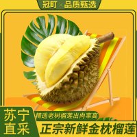 冠町 泰国金枕头榴莲 A果包4房9-10斤单果新鲜水果生鲜带壳整果