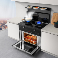 长虹集成水槽一体灶蒸烤箱家用大容量多功能厨房新款小户型嵌入式智能烹饪中心模块化EC1K