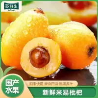 [苏鲜生]顺丰快递 攀枝花米易枇杷 净重1斤 单果30g左右 新鲜当季水果现摘农家琵琶宝宝甜大果整箱