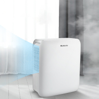 格力(GREE)抽湿机/除湿机 除湿量12升/天 家用轻音卧室办公室地下室低噪干衣除湿器长效定时 (DH12EN)