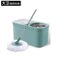 大卫旋转拖把 D11 1杆2头 浅绿 款式随机