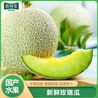 [苏鲜生]新鲜玫珑瓜 带箱3斤装 1个 箱装 当季热卖 新鲜水果 西沛