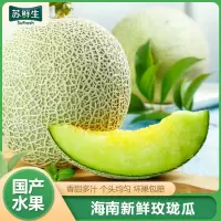 [苏鲜生]海南玫珑瓜 带箱9斤装 3-6个 箱装 当季热卖 新鲜水果 西沛