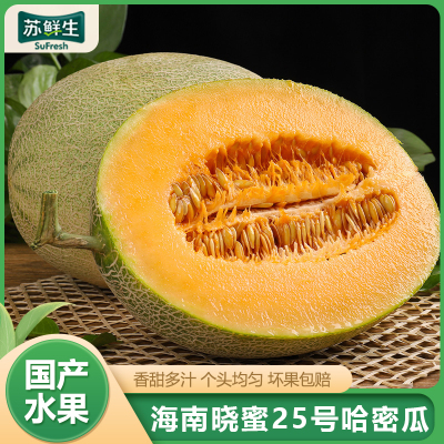 [苏鲜生]海南晓蜜25号哈密瓜 净重2.7斤 1个左右 应季水果 新鲜甜瓜 鲜果 西沛水果