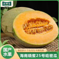 [苏鲜生]新鲜哈密瓜 净重4.5斤 1-2个左右 应季水果 新鲜甜瓜 鲜果 西沛水果