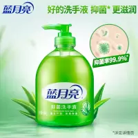蓝月亮 洗手液套装(抑菌洗手液500g*2+瓶补500g*2)