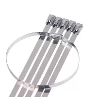定制款 自锁式304不锈钢扎带 7.9*300mm 100根装(±5根) 一包装