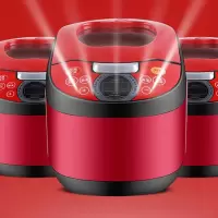 海牌 HP-FB500电饭煲 (苹果天窗)红色 Z