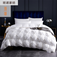班诺 全棉羽绒扭花款羽绒被 (白色)/床(200*230cm/6斤)