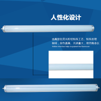 单脚荧光灯管20W长0.6米白光