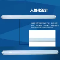 单脚荧光灯管20W长0.6米白光