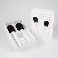 雷石小米有品米家电视定制K歌麦克风无线双麦超长续航AI美声专业咪芯即插即唱家用k歌麦克风白色_12