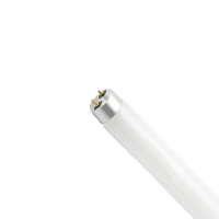 T8荧光灯 普通日光灯管 T8 36W含针长120cm[2支装]