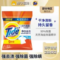 汰渍净白去渍强效去油污除菌香味持久洗衣粉5Kg便携装10斤