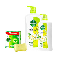 滴露 绿色心情清爽洗护套装HG-DB002(L)