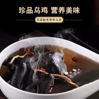 傲昕 泰和原种白凤乌鸡林间散养180天*2只生鲜活鸡现杀煲汤滋补乌骨鸡煲汤食膳 180天原种乌鸡*2只