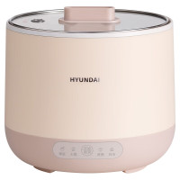 HYUNDAI电饭煲SL-BK-20 Z