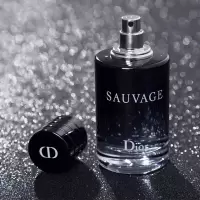 迪奥(Dior)旷野男士香水男持久留香生日礼物男送男朋友情人节礼物 旷野男士淡香水100ml