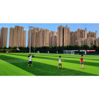 泰山 免填充人造草/平米 磅重16000磅 密度21000针