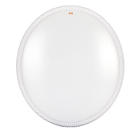 TENDZONE LED吸顶灯