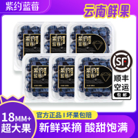 [苏鲜生]顺丰快递 云南紫约蓝莓 个头饱满 6盒 单果18mm+ 125g/盒 口感甜蜜 宝宝辅食