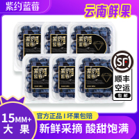 [苏鲜生推荐]顺丰快递 云南紫约蓝莓 个头饱满 6盒 单果15mm+125g/盒 口感甜蜜 宝宝辅食