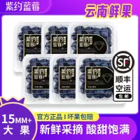 [苏鲜生推荐]顺丰快递 云南紫约蓝莓 个头饱满 6盒 单果15mm+125g/盒 口感甜蜜 宝宝辅食
