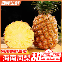 [西沛生鲜]礼盒装 海南甜蜜蜜凤梨 带箱5斤 2-3个装 当季热带水果 香甜可口 产地直发 西沛