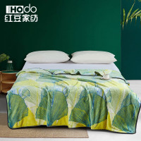 红豆(HODO) 红豆家纺T青绿柔肤毯 青绿柔肤毯 180*200cm