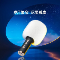 唱吧 K歌宝小唱C12黑金小巨蛋 无线蓝牙话筒音响一体麦克风 节日送礼家庭儿童K歌KTV 黑金色