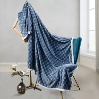 水星家纺 DH雪貂绒毯-浮光 180cm×200cm/条 DH雪貂绒毯-浮光水星家纺 DH雪貂绒毯-浮光 180cm×
