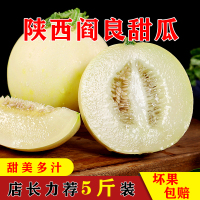 [西沛生鲜]陕西阎良甜瓜 彩箱装 4.5-5斤装 3-6枚 箱装 蜜瓜香瓜 当季甜瓜新鲜水果 西沛