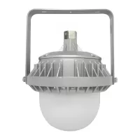 LHDQ 领航电器 LHF2109-B(含安装支架)LED平台灯 50W 220V 冷光 IP65