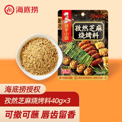 海底捞 孜然芝麻烧烤料40g*3