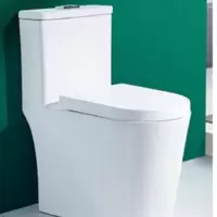 安巢(ANCHOW)箭牌家用马桶卫生间坐便器抽水