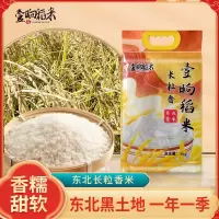 壹晌稻米 长粒香大米5KG*1袋东北大米当季大米10斤真空袋装