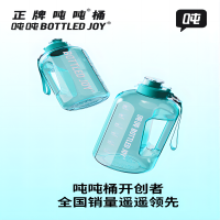 经典吨吨一代D1