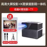 纽曼T1投影仪家用卧室K歌投影机家庭影院卡拉OK一体机超高清KTV专用手机投屏带话筒宿舍小型办公户外便携