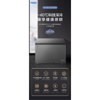 海尔(Haier) BC/BD-307HEM 冷冻柜