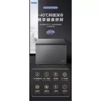 海尔(Haier) BC/BD-307HEM 冷冻柜