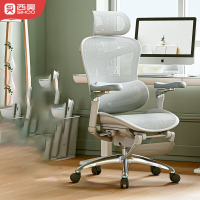 西昊(SIHOO) Doro C300人体工学椅电脑椅 办公椅可躺 电竞椅全网椅学习椅转椅座椅 灰色脚踏款
