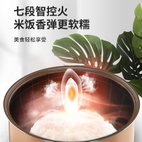 九阳电饭煲F40FZ-F531-B