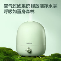 飞科(FLYCO)加湿器FH9220办公室桌面4L大容量水箱 草木绿