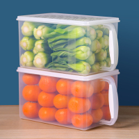 禧天龙H-4089密封盒带把手2个装6L/高透明白体本色白盖 Z