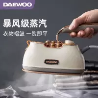 大宇挂烫机HI-036