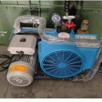 打气泵(实验专用)